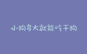 小狗多大就能吃干狗粮了(小狗多大就能洗澡了)-警犬训练器材厂家 _警犬训练用品_工作犬训练用品-南京开久警犬装备
