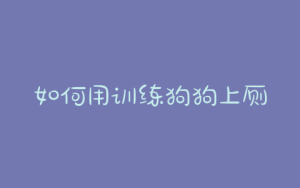如何用训练狗狗上厕所-警犬训练器材厂家 _警犬训练用品_工作犬训练用品-南京开久警犬装备