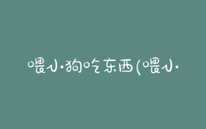 喂小狗吃东西(喂小狗吃东西作文)-警犬训练器材厂家 _警犬训练用品_工作犬训练用品-南京开久警犬装备