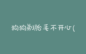狗狗剃胎毛不开心(狗狗剃胎毛后不开心)-警犬训练器材厂家 _警犬训练用品_工作犬训练用品-南京开久警犬装备
