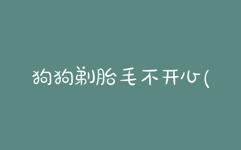 狗狗剃胎毛不开心(狗狗剃胎毛后不开心) - 警犬训练器材厂家 _警犬训练用品_工作犬训练用品-南京开久警犬装备-警犬训练器材厂家 _警犬训练用品_工作犬训练用品-南京开久警犬装备