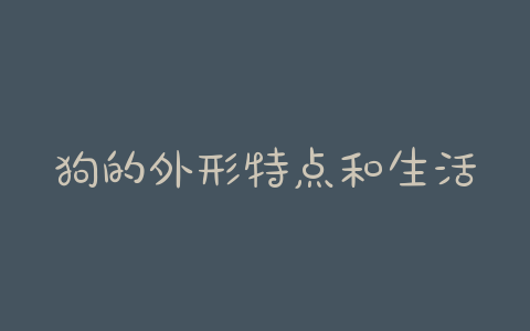 狗的外形特点和生活习性 - 警犬训练器材厂家 _警犬训练用品_工作犬训练用品-南京开久警犬装备-警犬训练器材厂家 _警犬训练用品_工作犬训练用品-南京开久警犬装备