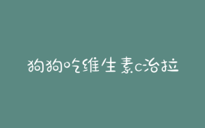 狗狗吃维生素c治拉稀吗(维生素B2吃了拉稀)-警犬训练器材厂家 _警犬训练用品_工作犬训练用品-南京开久警犬装备