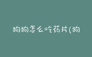 狗狗怎么吃药片(狗狗吃药片不消化,要吃粉末或者液体)-警犬训练器材厂家 _警犬训练用品_工作犬训练用品-南京开久警犬装备