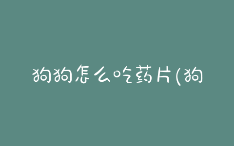 狗狗怎么吃药片(狗狗吃药片不消化,要吃粉末或者液体) - 警犬训练器材厂家 _警犬训练用品_工作犬训练用品-南京开久警犬装备-警犬训练器材厂家 _警犬训练用品_工作犬训练用品-南京开久警犬装备
