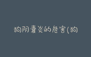 狗阴囊炎的危害(狗得了阴囊炎有哪些症状)-警犬训练器材厂家 _警犬训练用品_工作犬训练用品-南京开久警犬装备
