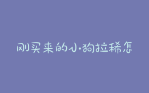 刚买来的小狗拉稀怎么回事-警犬训练器材厂家 _警犬训练用品_工作犬训练用品-南京开久警犬装备