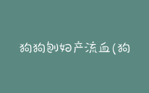狗狗刨妇产流血(狗狗刨妇产需要多少钱)-警犬训练器材厂家 _警犬训练用品_工作犬训练用品-南京开久警犬装备