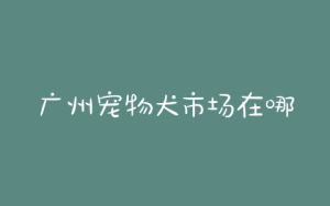 广州宠物犬市场在哪里？宠物犬在哪里买-警犬训练器材厂家 _警犬训练用品_工作犬训练用品-南京开久警犬装备