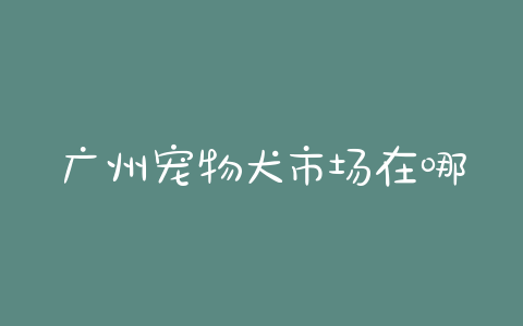 广州宠物犬市场在哪里?宠物犬在哪里买 - 警犬训练器材厂家 _警犬训练用品_工作犬训练用品-南京开久警犬装备-警犬训练器材厂家 _警犬训练用品_工作犬训练用品-南京开久警犬装备