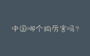 中国哪个狗厉害吗？豹子和狗哪个厉害-警犬训练器材厂家 _警犬训练用品_工作犬训练用品-南京开久警犬装备