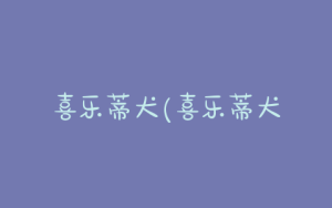 喜乐蒂犬(喜乐蒂犬多少钱一只)-警犬训练器材厂家 _警犬训练用品_工作犬训练用品-南京开久警犬装备