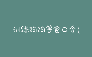 训练狗狗等食口令(狗狗训练口令大全)-警犬训练器材厂家 _警犬训练用品_工作犬训练用品-南京开久警犬装备