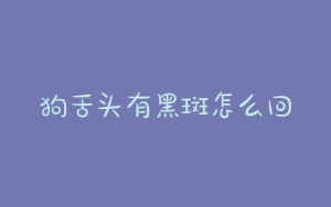 狗舌头有黑斑怎么回事?金毛舌头上有黑斑是怎么回事-警犬训练器材厂家 _警犬训练用品_工作犬训练用品-南京开久警犬装备