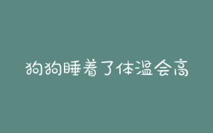 狗狗睡着了体温会高么(狗狗睡着了体温会上升吗)-警犬训练器材厂家 _警犬训练用品_工作犬训练用品-南京开久警犬装备