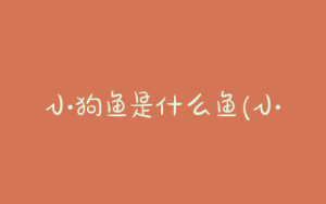 小狗鱼是什么鱼(小狗鱼是什么鱼 *** )-警犬训练器材厂家 _警犬训练用品_工作犬训练用品-南京开久警犬装备