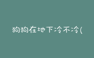 狗狗在地下冷不冷(狗狗趴在地下会冷嘛)-警犬训练器材厂家 _警犬训练用品_工作犬训练用品-南京开久警犬装备