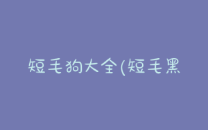 短毛狗大全(短毛黑贝狗 *** 大全)-警犬训练器材厂家 _警犬训练用品_工作犬训练用品-南京开久警犬装备