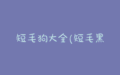 短毛狗大全(短毛黑贝狗 *** 大全) - 警犬训练器材厂家 _警犬训练用品_工作犬训练用品-南京开久警犬装备-警犬训练器材厂家 _警犬训练用品_工作犬训练用品-南京开久警犬装备