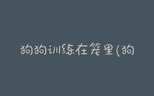 狗狗训练在笼里(狗狗入笼训练)-警犬训练器材厂家 _警犬训练用品_工作犬训练用品-南京开久警犬装备