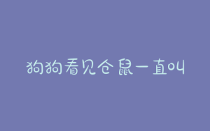 狗狗看见仓鼠一直叫_狗狗看见孕妇一直叫-警犬训练器材厂家 _警犬训练用品_工作犬训练用品-南京开久警犬装备