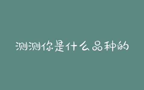 测测你是什么品种的狗(别人问你是什么品种的狗怎么回答) - 警犬训练器材厂家 _警犬训练用品_工作犬训练用品-南京开久警犬装备-警犬训练器材厂家 _警犬训练用品_工作犬训练用品-南京开久警犬装备