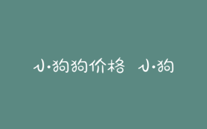 小狗狗价格  小狗狗币最新价格-警犬训练器材厂家 _警犬训练用品_工作犬训练用品-南京开久警犬装备