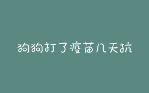 狗狗打了疫苗几天抗体(狗狗打完疫苗几天测抗体)-警犬训练器材厂家 _警犬训练用品_工作犬训练用品-南京开久警犬装备