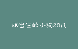 刚出生的小狗20几天死亡(刚出生小狗几天会走路)-警犬训练器材厂家 _警犬训练用品_工作犬训练用品-南京开久警犬装备