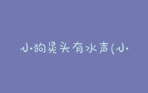 小狗晃头有水声(小狗肚子一按有水声)-警犬训练器材厂家 _警犬训练用品_工作犬训练用品-南京开久警犬装备
