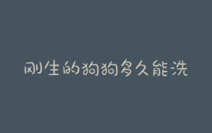 刚生的狗狗多久能洗澡吗(刚生狗狗多久开眼)-警犬训练器材厂家 _警犬训练用品_工作犬训练用品-南京开久警犬装备