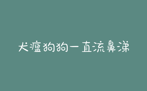 犬瘟狗狗一直流鼻涕(犬瘟病狗狗突然就不流鼻涕了) - 警犬训练器材厂家 _警犬训练用品_工作犬训练用品-南京开久警犬装备-警犬训练器材厂家 _警犬训练用品_工作犬训练用品-南京开久警犬装备