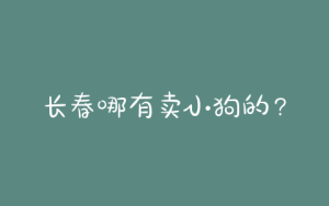 长春哪有卖小狗的?哪有小狗卖多少钱一只-警犬训练器材厂家 _警犬训练用品_工作犬训练用品-南京开久警犬装备