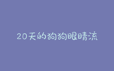 20天的狗狗眼睛流脓睁不开怎办干 - 警犬训练器材厂家 _警犬训练用品_工作犬训练用品-南京开久警犬装备-警犬训练器材厂家 _警犬训练用品_工作犬训练用品-南京开久警犬装备