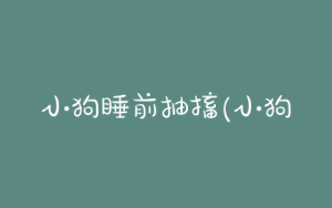 小狗睡前抽搐(小狗抽搐咋回事儿)-警犬训练器材厂家 _警犬训练用品_工作犬训练用品-南京开久警犬装备