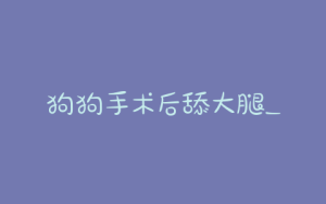 狗狗手术后舔大腿_狗狗老舔大腿内侧,红了一大片-警犬训练器材厂家 _警犬训练用品_工作犬训练用品-南京开久警犬装备