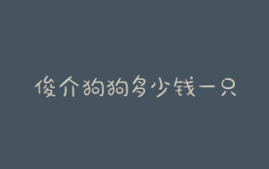 俊介狗狗多少钱一只(空运一只狗狗多少钱)-警犬训练器材厂家 _警犬训练用品_工作犬训练用品-南京开久警犬装备