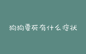 狗狗要死有什么症状？狗狗出现什么症状说明要死了-警犬训练器材厂家 _警犬训练用品_工作犬训练用品-南京开久警犬装备