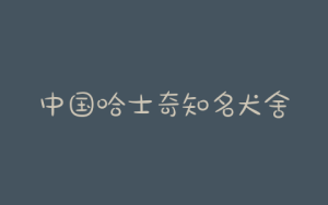 中国哈士奇知名犬舍(领域犬舍哈士奇官网)-警犬训练器材厂家 _警犬训练用品_工作犬训练用品-南京开久警犬装备