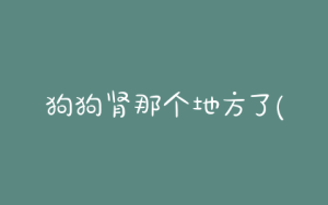 狗狗肾那个地方了(那个地方的狗狗便宜)-警犬训练器材厂家 _警犬训练用品_工作犬训练用品-南京开久警犬装备