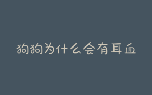 狗狗为什么会有耳血肿？狗狗为什么会飞耳-警犬训练器材厂家 _警犬训练用品_工作犬训练用品-南京开久警犬装备