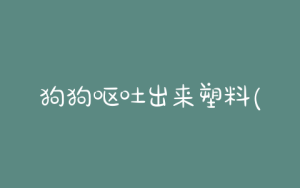 狗狗呕吐出来塑料(狗狗呕吐不出来)-警犬训练器材厂家 _警犬训练用品_工作犬训练用品-南京开久警犬装备