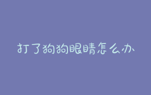 打了狗狗眼睛怎么办(狗狗眼睛长息肉怎么办)-警犬训练器材厂家 _警犬训练用品_工作犬训练用品-南京开久警犬装备