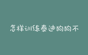 怎样训练泰迪狗狗不叫？怎样训练泰迪狗狗作揖-警犬训练器材厂家 _警犬训练用品_工作犬训练用品-南京开久警犬装备
