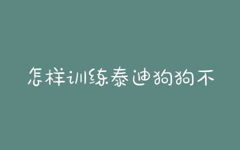 怎样训练泰迪狗狗不叫？怎样训练泰迪狗狗作揖 - 警犬训练器材厂家 _警犬训练用品_工作犬训练用品-南京开久警犬装备-警犬训练器材厂家 _警犬训练用品_工作犬训练用品-南京开久警犬装备