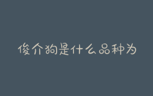 俊介狗是什么品种为什么俊介长得不像博美-警犬训练器材厂家 _警犬训练用品_工作犬训练用品-南京开久警犬装备