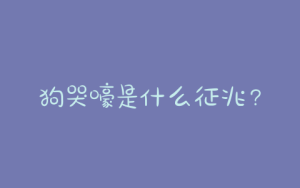狗哭嚎是什么征兆？狗哭是什么征兆晚上-警犬训练器材厂家 _警犬训练用品_工作犬训练用品-南京开久警犬装备