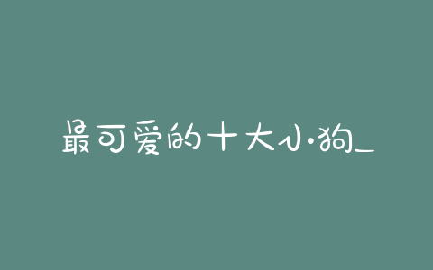 最可爱的十大小狗_世界十大可爱小狗 - 警犬训练器材厂家 _警犬训练用品_工作犬训练用品-南京开久警犬装备-警犬训练器材厂家 _警犬训练用品_工作犬训练用品-南京开久警犬装备