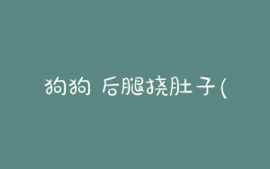 狗狗 后腿挠肚子(狗狗后腿内侧肚子有包怎么办)-警犬训练器材厂家 _警犬训练用品_工作犬训练用品-南京开久警犬装备
