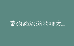 带狗狗旅游的地方_怎么带狗狗旅游-警犬训练器材厂家 _警犬训练用品_工作犬训练用品-南京开久警犬装备